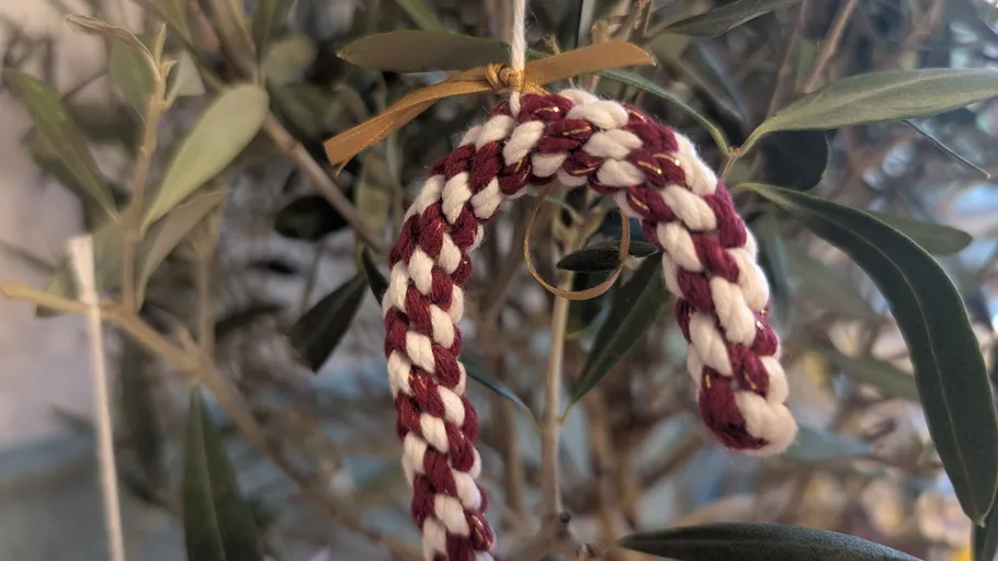 Braided red and white ornament hanging on plant.