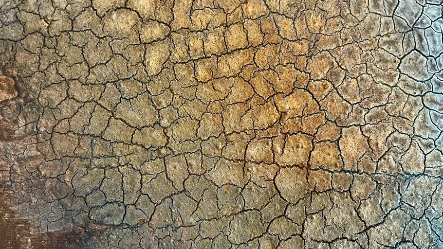 Cracked soil with dry texture visible outdoors.