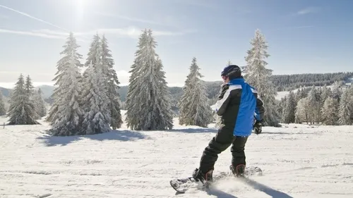 Snowboarder descends snowy slope with pine trees.