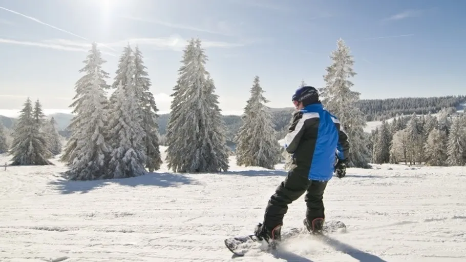 Snowboarder fährt schneebedeckten Hang mit Kiefern hinunter.