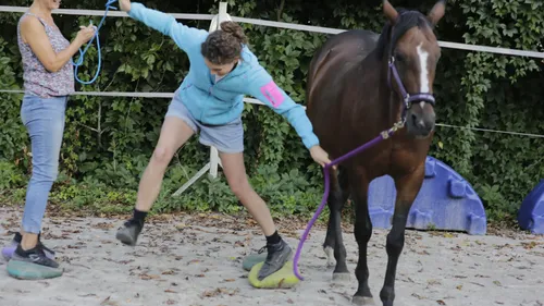 Person balancing on stones next to a horse.