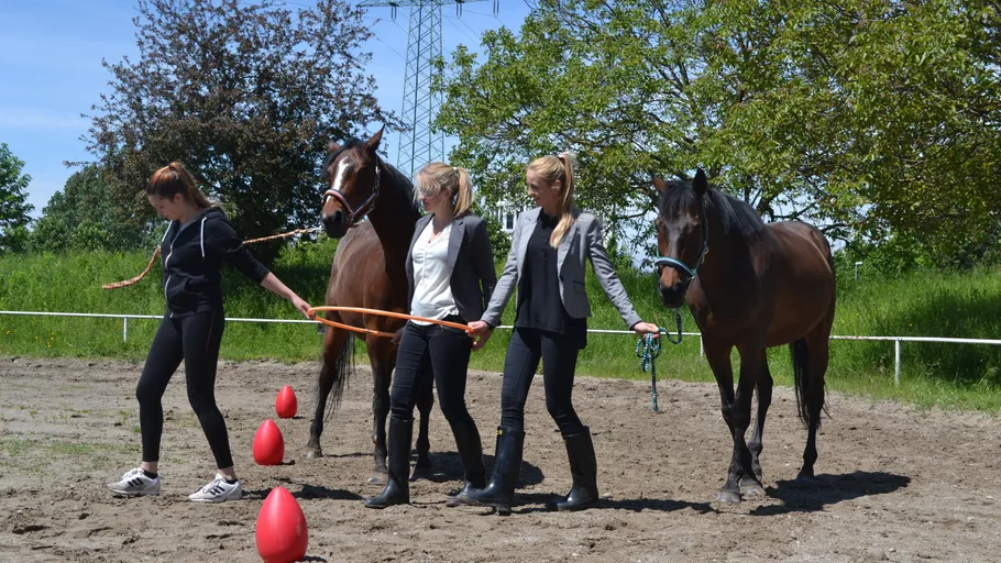 Three women lead two horses on a sandy field.