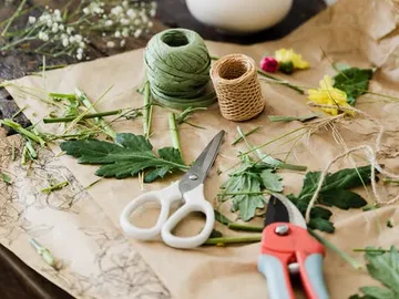 Scissors cut plant debris on brown paper.