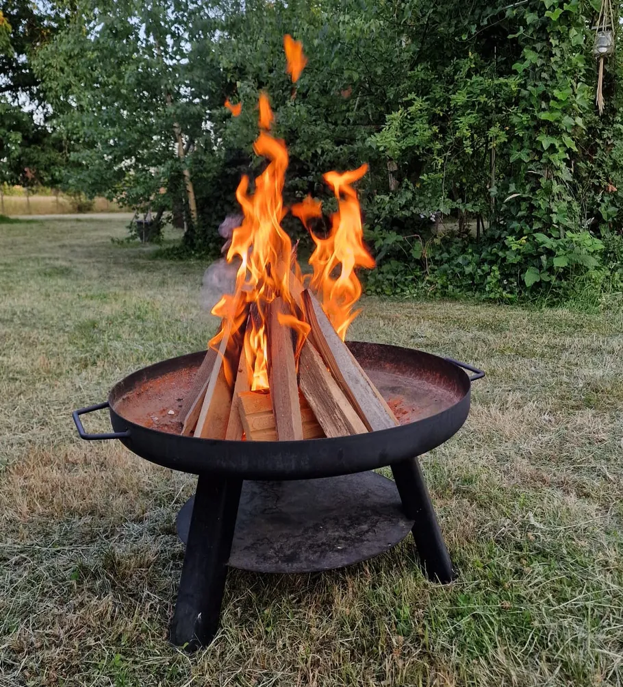 Fire pit with burning wood in garden.