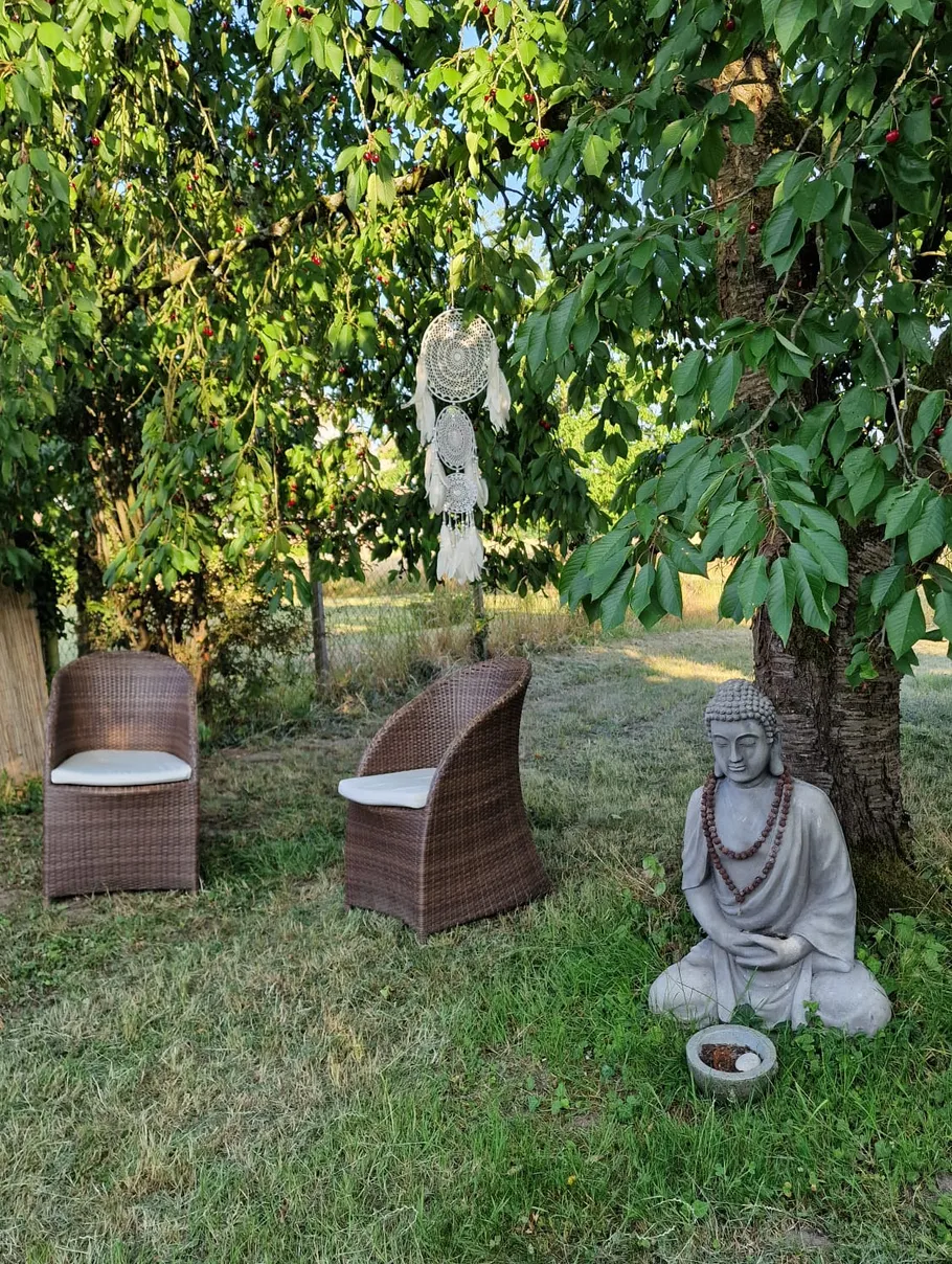 Buddha statue near chairs under tree outdoors.