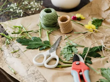 Scissors and threads lie on a table with plants.