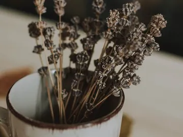 Trockene Blumen stehen in einer Tasse auf einem Tisch.