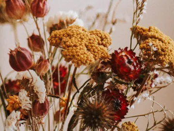 Trockenblumen in einer Vase, bunt angeordnet und dekorativ.