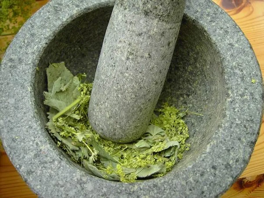 Stone mortar and pestle crushing green leaves.