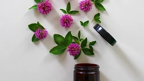 Purple flowers and leaves near open jar.