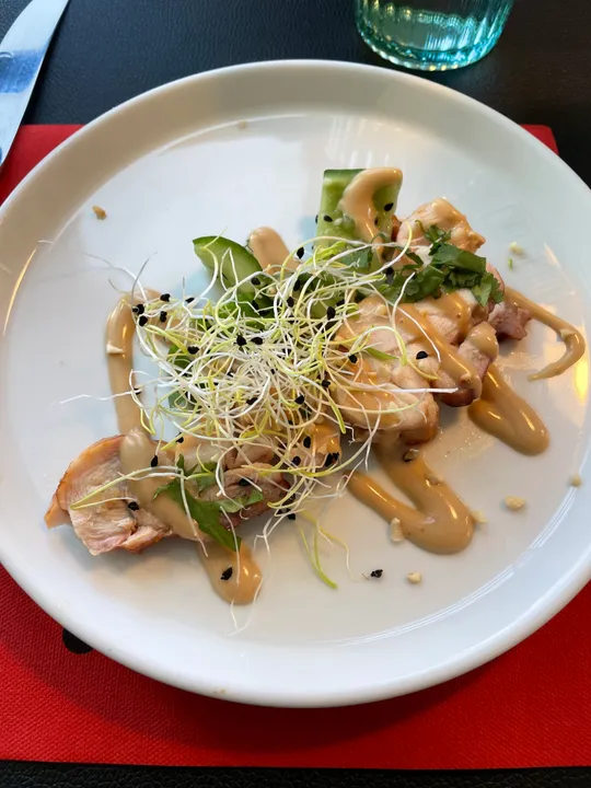 Chicken with sauce, sprouts, and greens on plate.