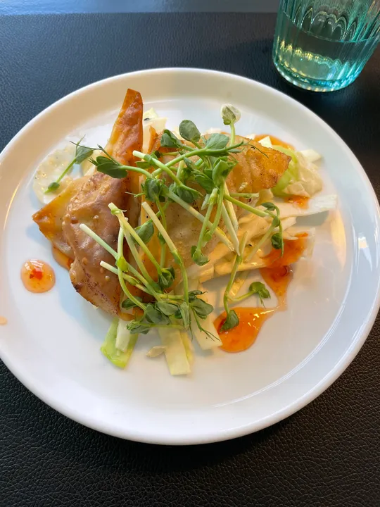 Plated dumplings with greens on white plate.