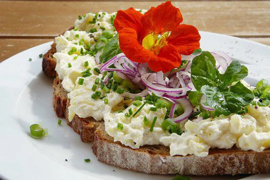 Brot mit Käse, Zwiebeln und orangefarbener Blume.