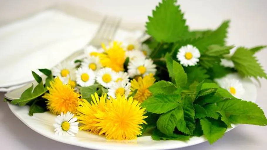 Plate with dandelions and daisies on napkin.