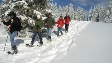 Gruppe beim Schneeschuhwandern im verschneiten Wald.