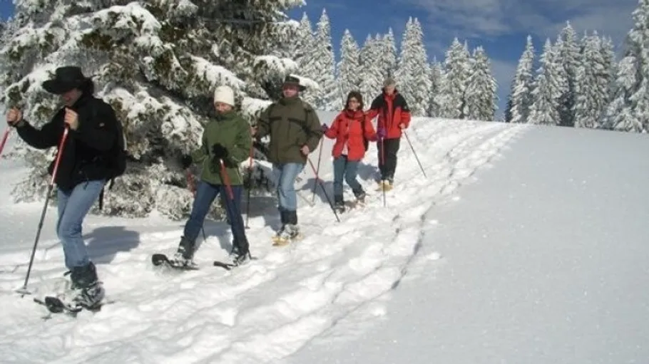 Group snowshoeing in snowy forest landscape.