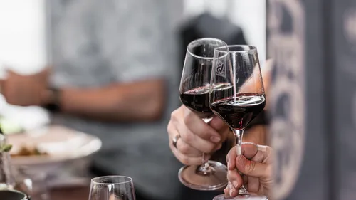 Two people clinking wine glasses indoors.