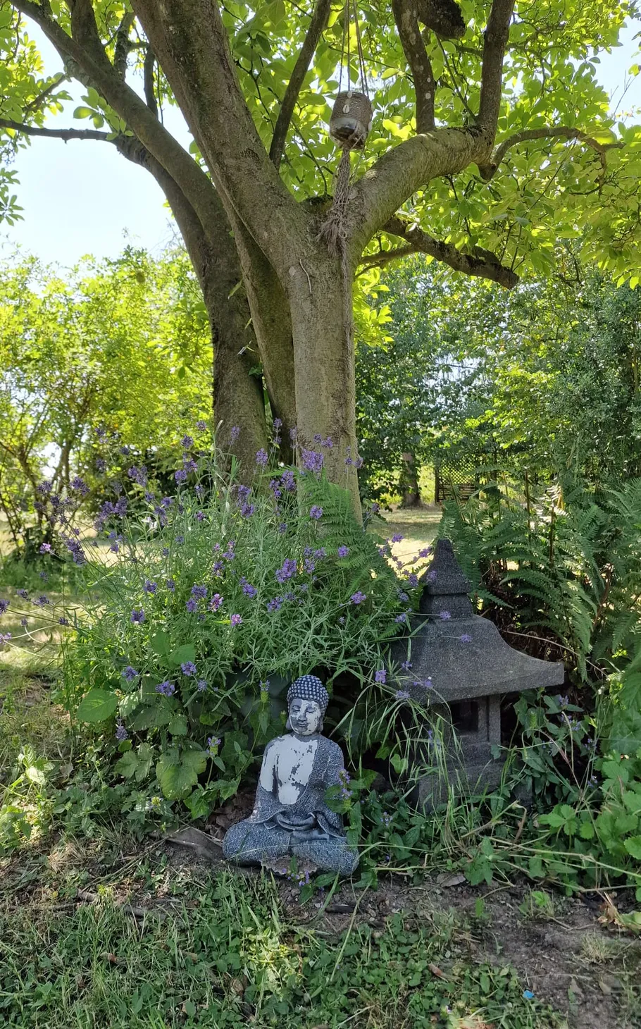 Buddha statue and lantern under tree in garden.