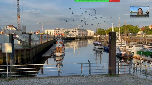 Harbor scene with boats and flying birds.
