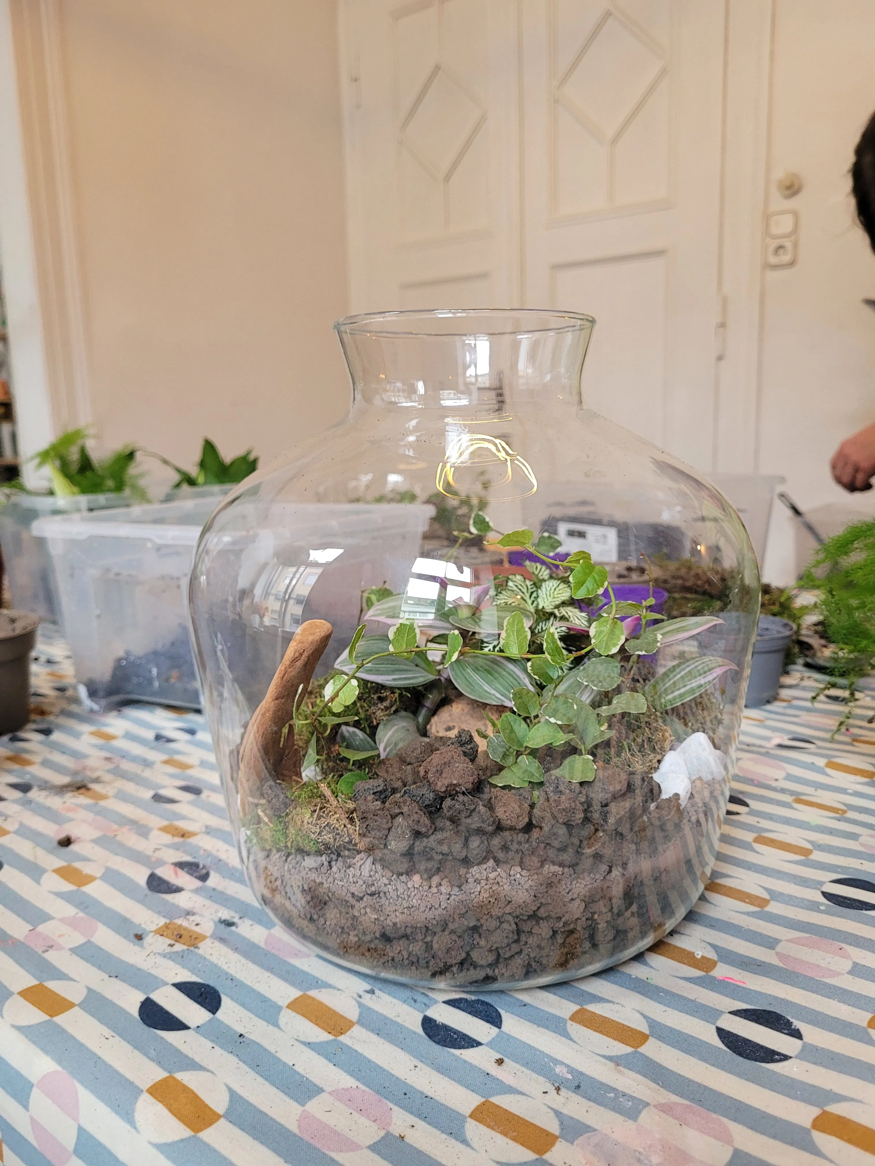 Glass terrarium with plants on patterned table.