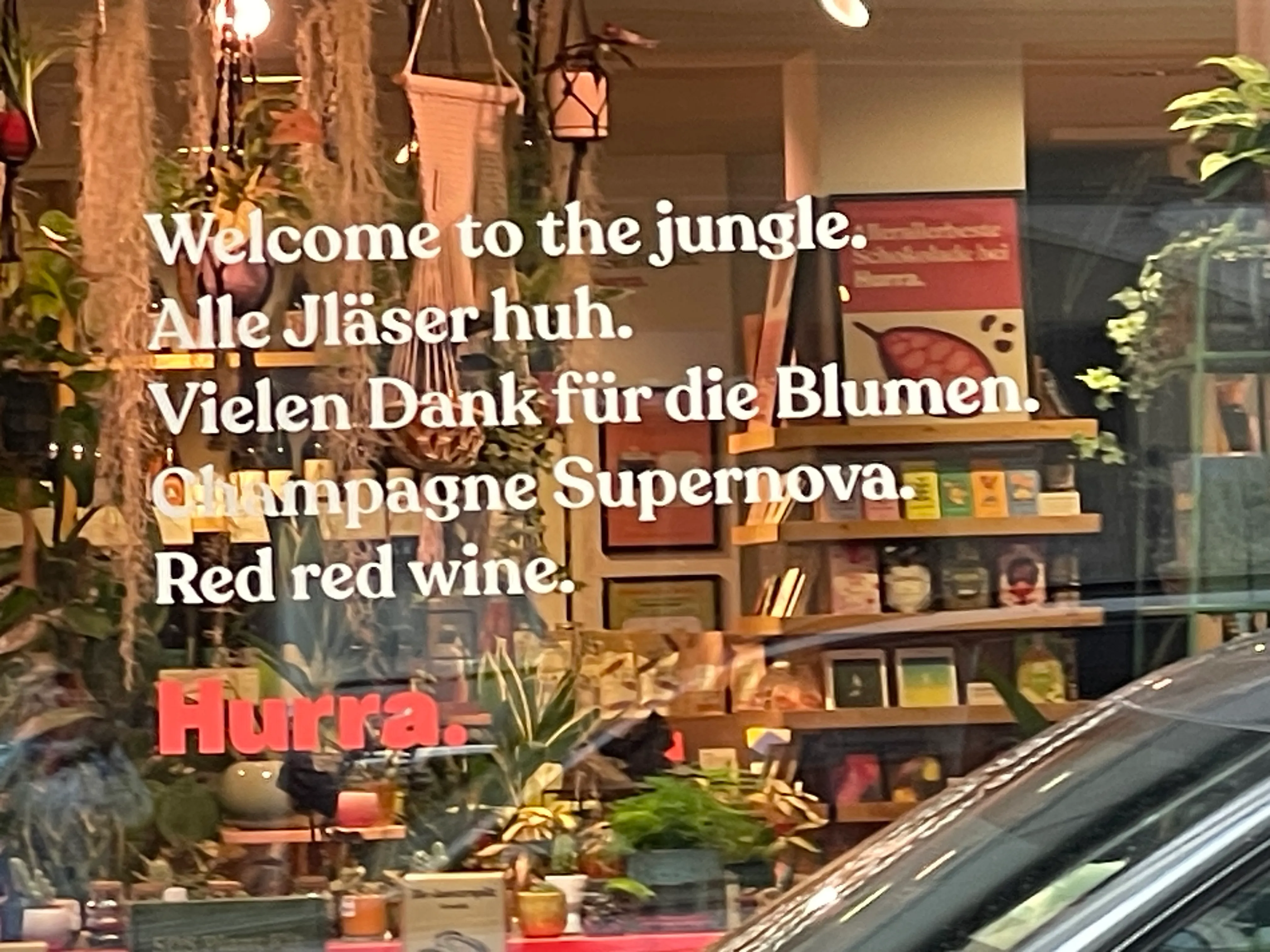 Bookstore window with decorative plants.