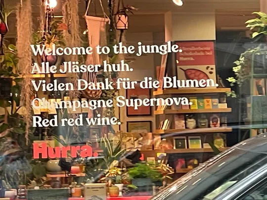 Buchladenfenster mit dekorativen Pflanzen.