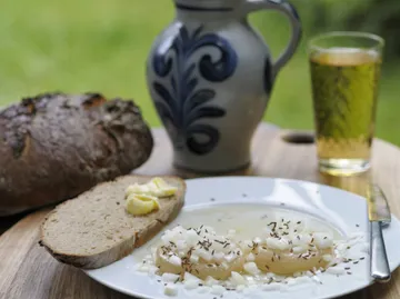 Cheese with onions and bread on plate.