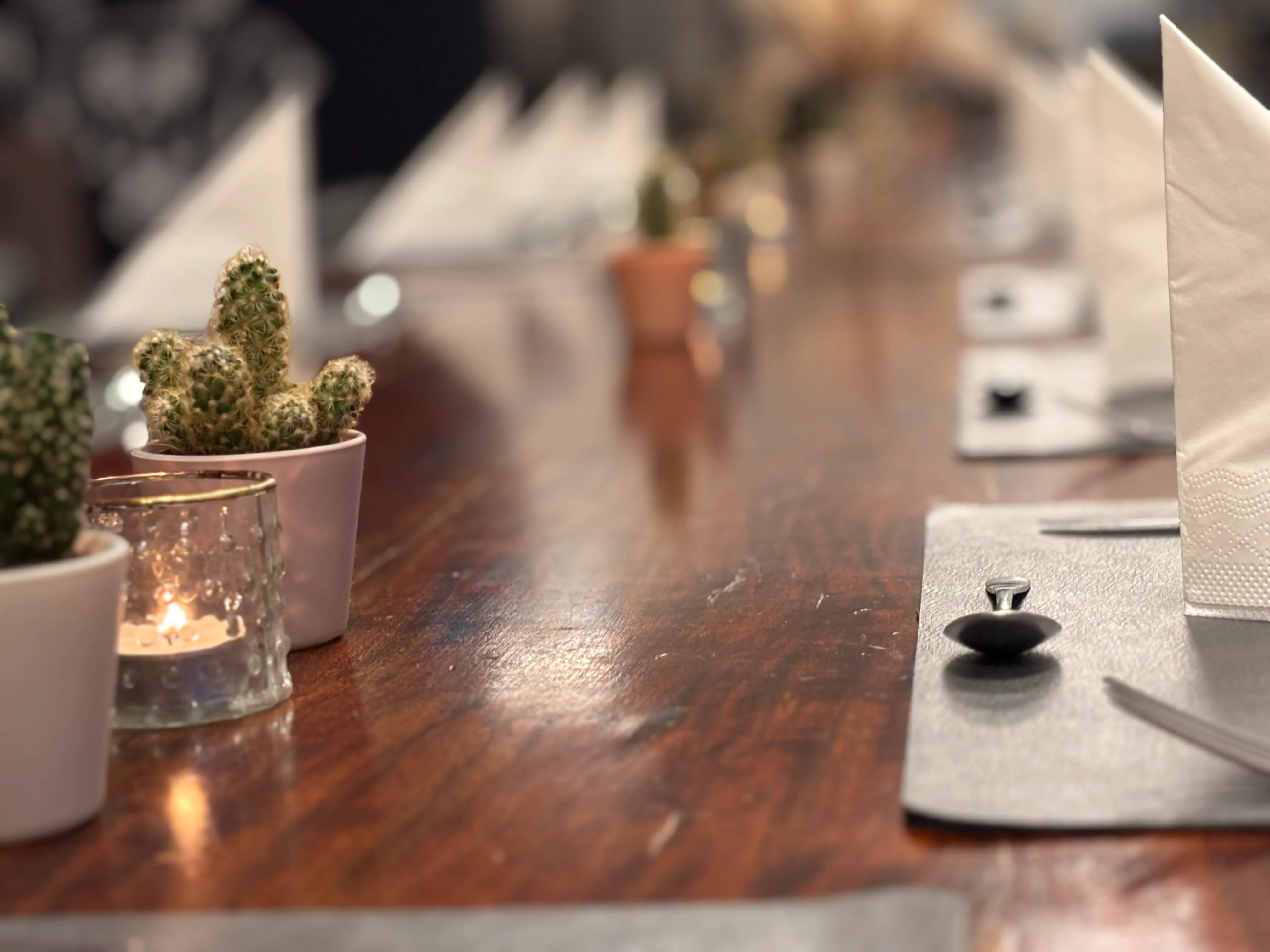 Table with cacti, candles, and napkins.
