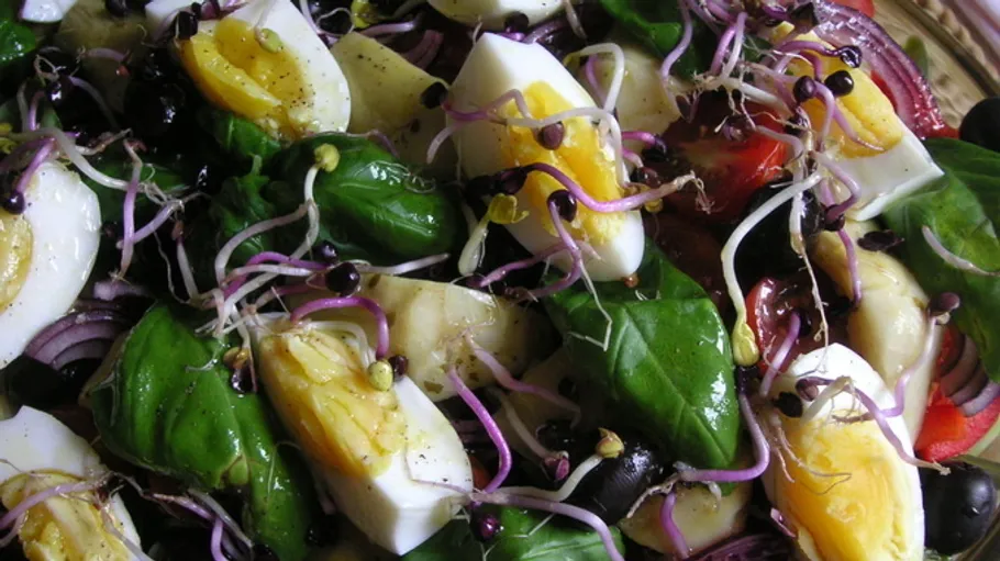 Salad with eggs, sprouts, and greens.