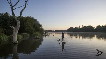 Person beim Stand-up-Paddeln auf ruhigem Fluss bei Sonnenuntergang.