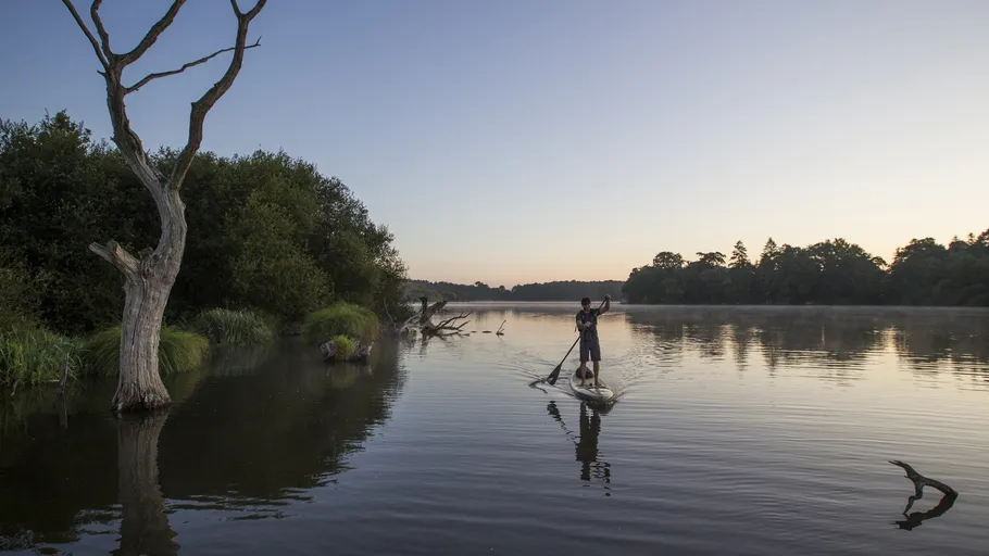 Person paddleboarding on calm river at sunset.