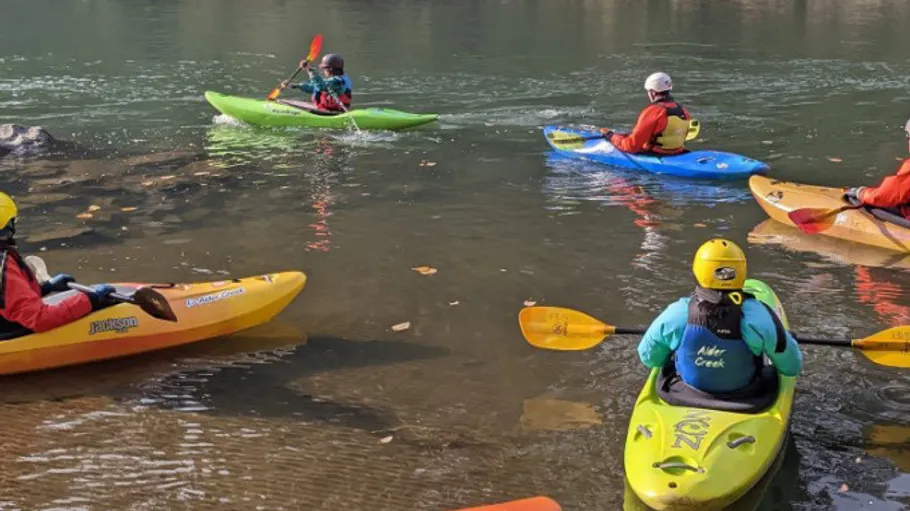 Mehrere Kajakfahrer paddeln auf ruhigem Fluss.