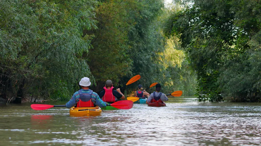 Kajakfahrer paddeln durch schmalen, baumgesäumten Wasserweg.