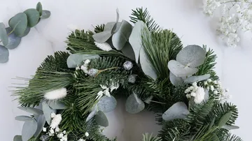 Grüner Kranz mit Eukalyptus auf weißem Hintergrund.