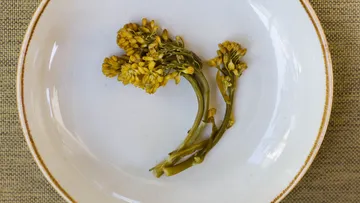Pickled flower buds on a white plate.