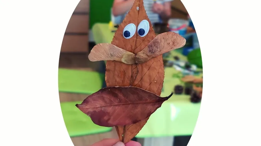 Leaves decorated with googly eyes in a room.