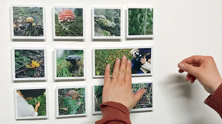 Hände ordnen Naturfotos an der Wand.
