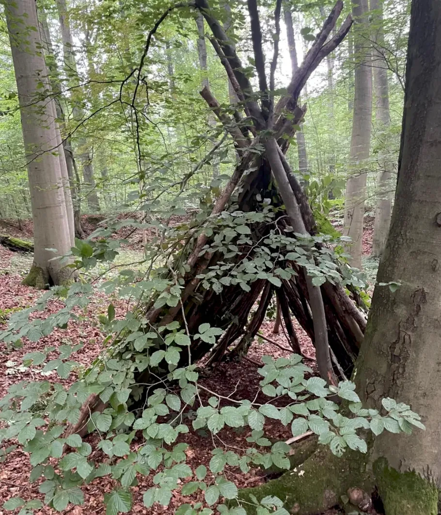 Holz-Tipi-Struktur im Wald.