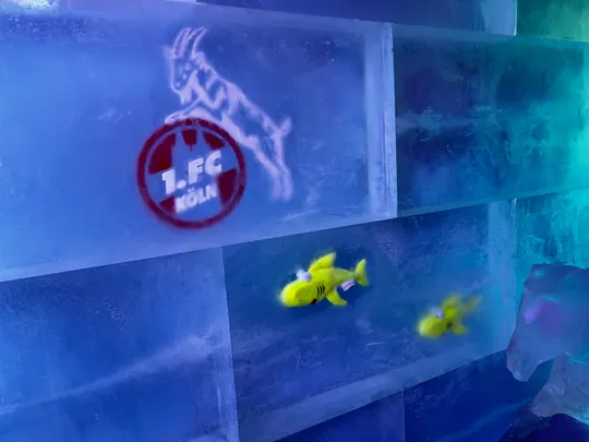 Eiswand mit Fischen und FC Köln Logo.