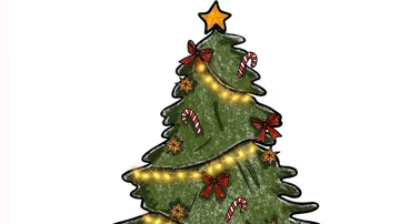 Decorated Christmas tree with star and lights.
