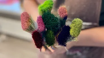 Bunte getrocknete Blumen von Person gehalten.