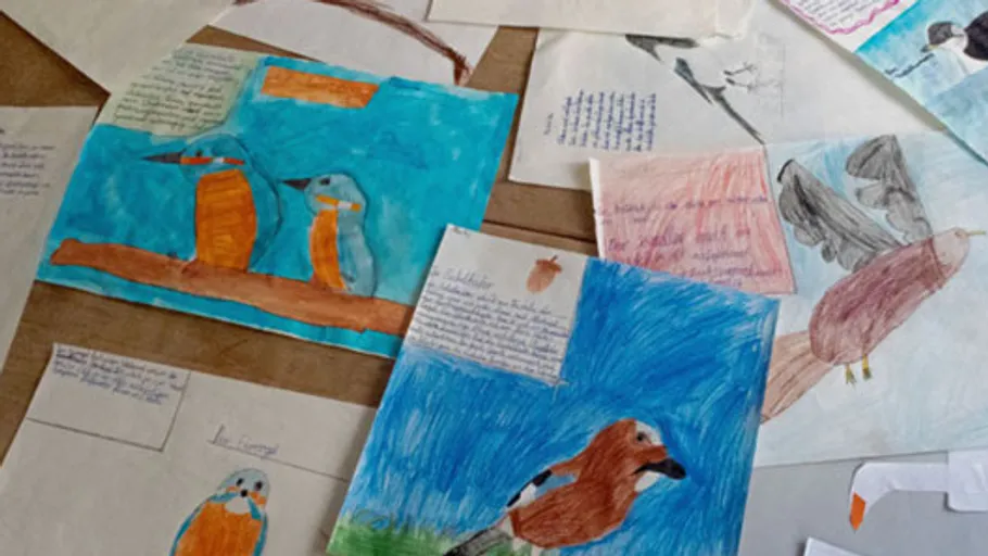 Kinderzeichnungen von Vögeln ausgestellt.