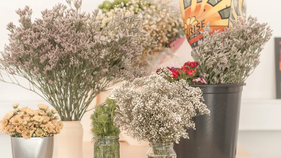 Verschiedene Blumen in Vasen auf einem Tisch.