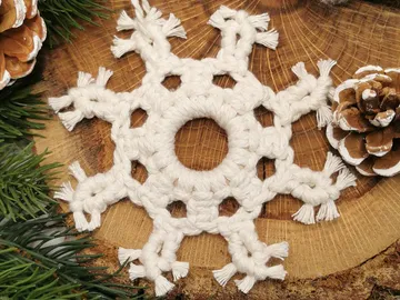 Weiße Schneeflocke liegt auf Holzscheibe mit Tannenzapfen.