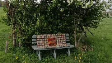 Bench with blanket under leafy tree.