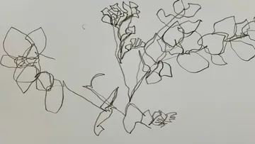 Outline drawing of flowers and leaves.
