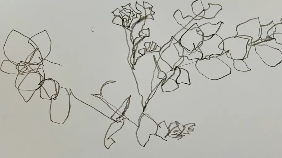 Outline drawing of flowers and leaves.