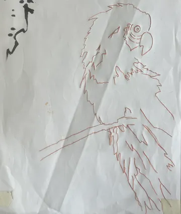 Papagei-Umrisszeichnung auf zerknittertem Papier.