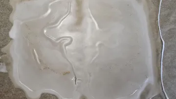 Melted plastic on a parchment paper surface.