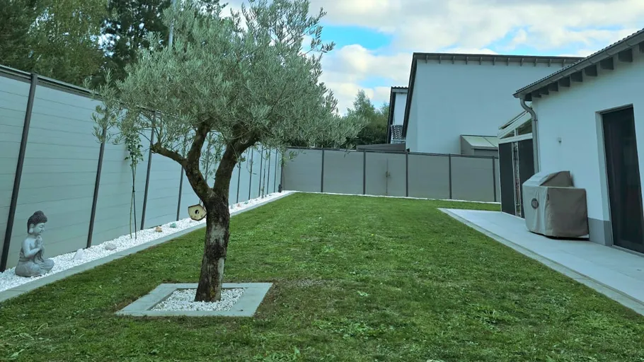 Baum im gestalteten Garten neben modernem Haus.